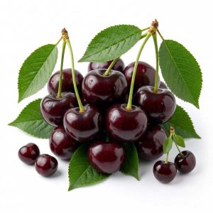 خرید گیلاس تازه